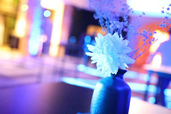 La soirée – photo 258